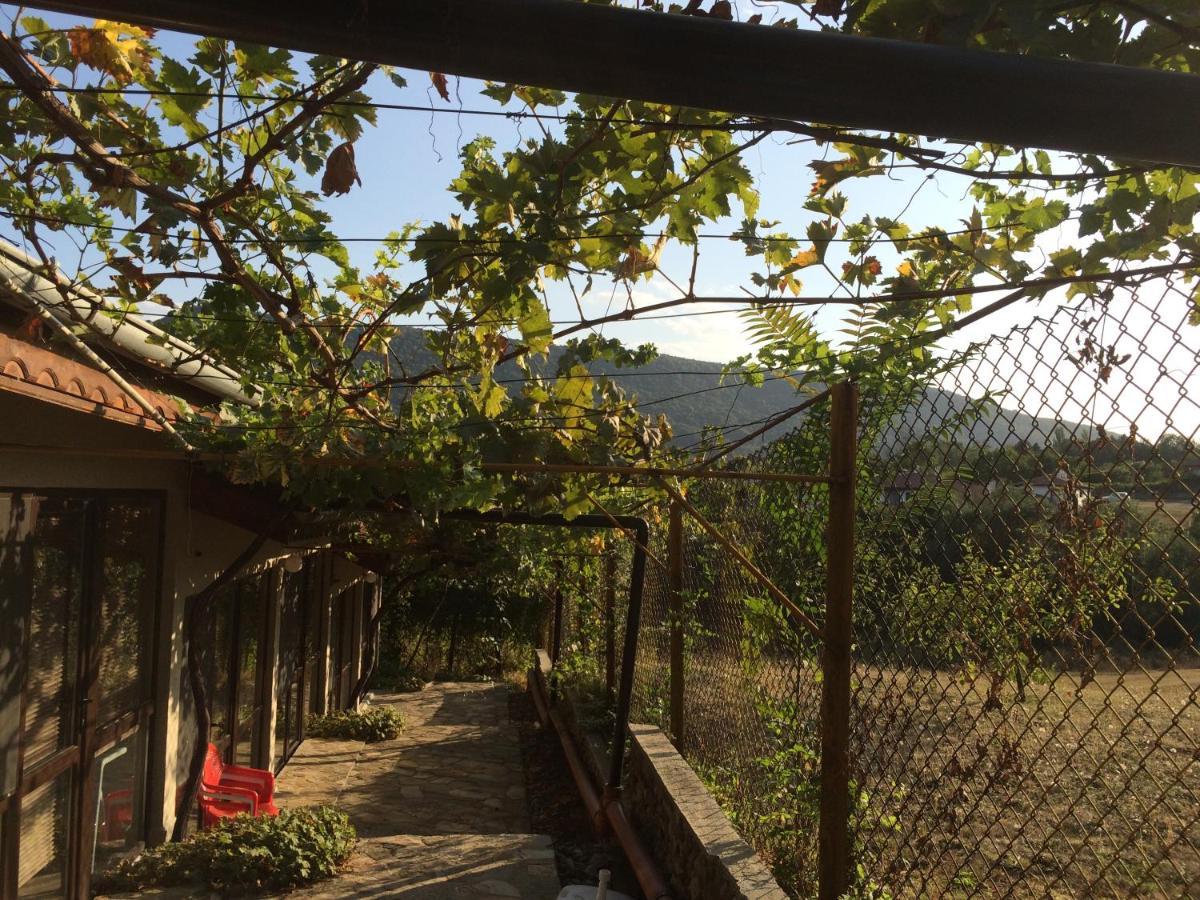 Family Hotel Belvedere Dŭlgopol 外观 照片