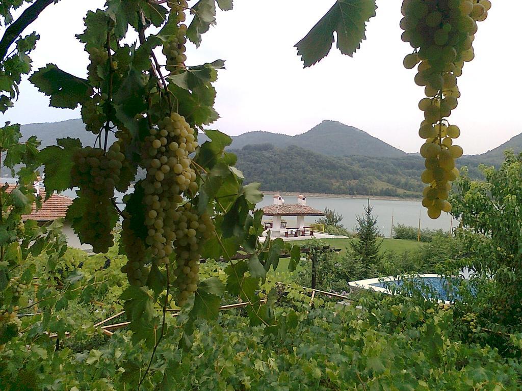 Family Hotel Belvedere Dŭlgopol 外观 照片