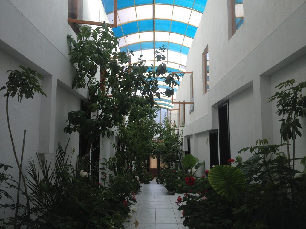Family Hotel Belvedere Dŭlgopol 外观 照片