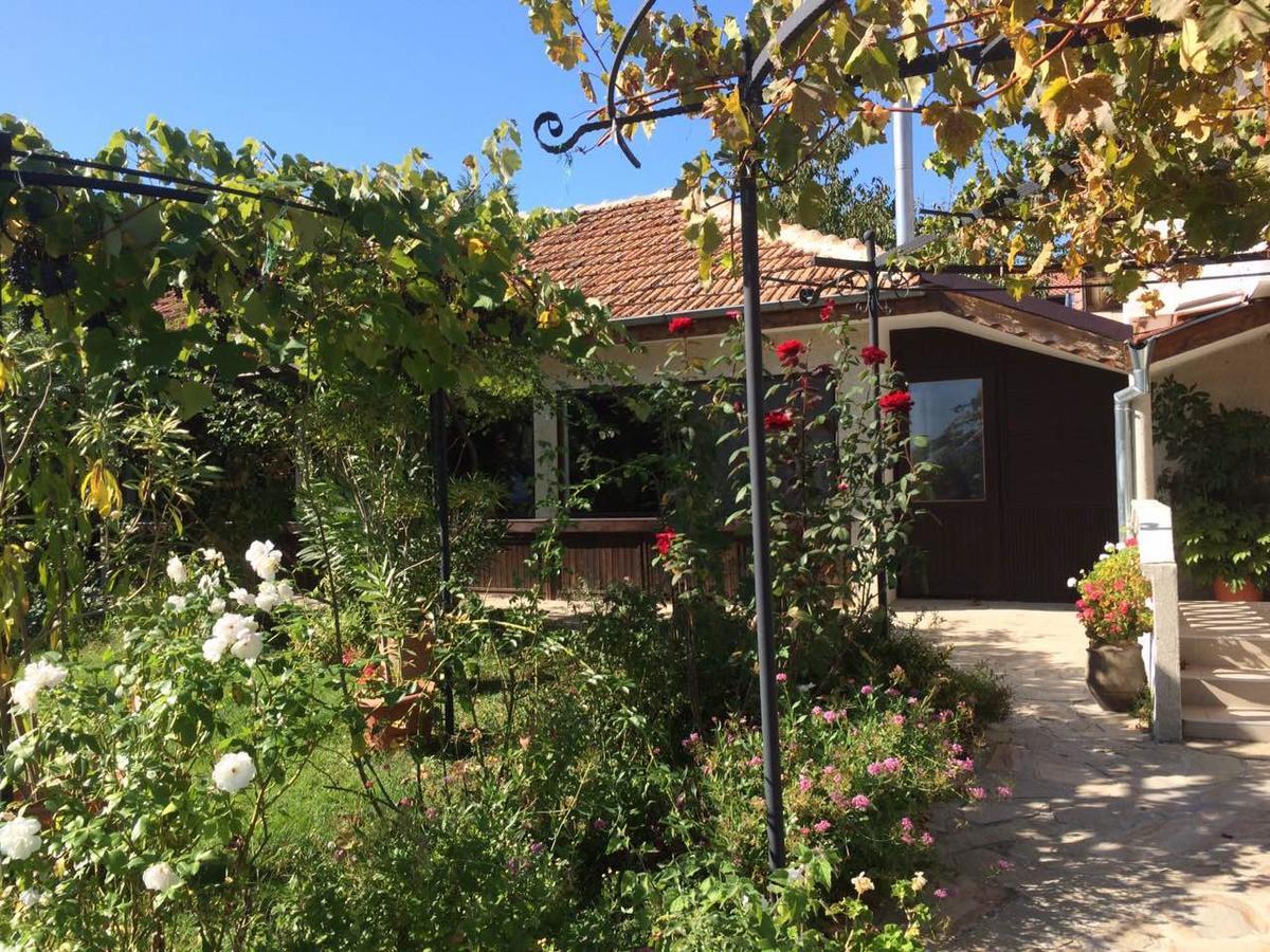 Family Hotel Belvedere Dŭlgopol 外观 照片